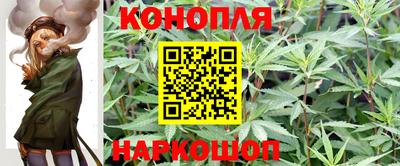 прущие грибы Жуковский