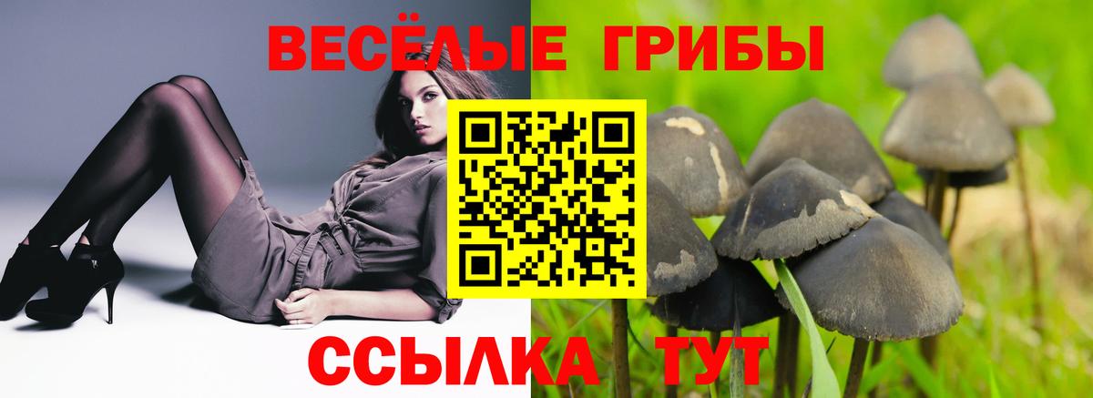 Псилоцибиновые грибы мухоморы  Вход с VPN  Майский  Галлюциногенные грибы мицелий 