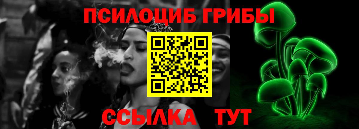 Галлюциногенные грибы Psilocybine cubensis Майский